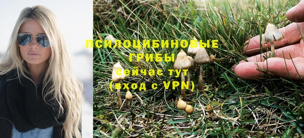 mix Лиски